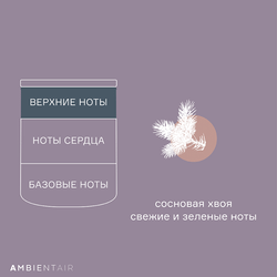Свеча ароматическая enchanted forest, Белый жасмин, 40 ч