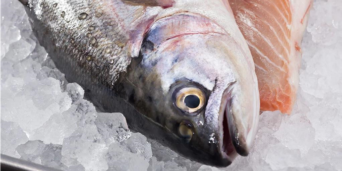 Охлажденная рыба
