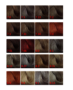 Крем-краска "REVERSO HAIR COLOR" 100мл
