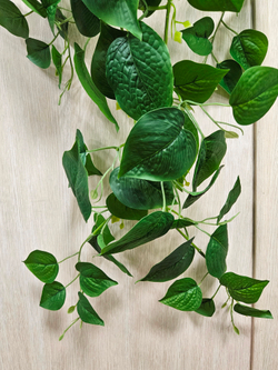 Искусственный Филодендрон крупнолистный 110см