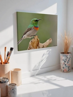 Картина на стену 40 X 50 Цветная птица