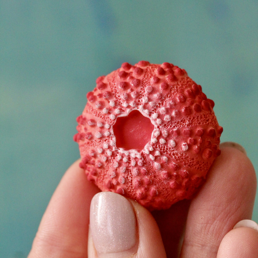 Молды силиконовые для творчества "Набор 3 молда: ракушка, морской ёж, морская звезда"/ форма для полимерной глины, мыла, воска, гипса и эпоксидной смолы