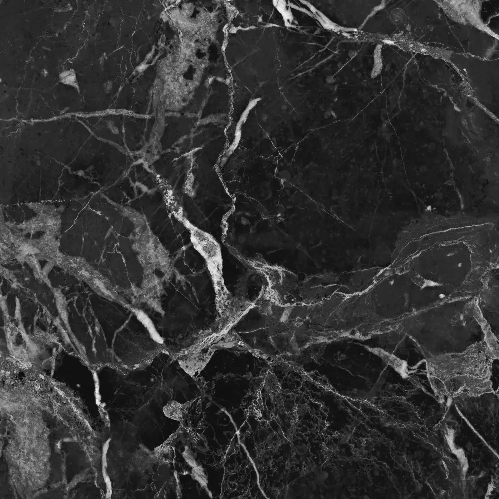 Керамогранит Primavera Dalim Black 60x60 см (NR105)