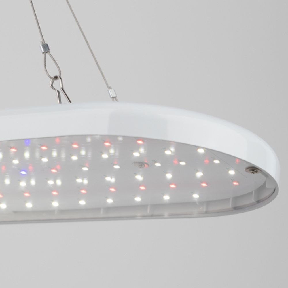 Светильник для растений ЭРА FITO-25W-QLED-FLY подвесной полного спектра 25 Вт | Интерьерные фито светильники