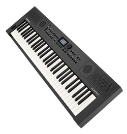 Roland GO:KEYS 5 Keyboard - Graphite