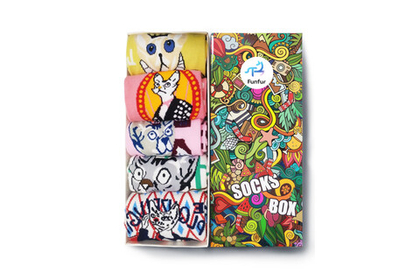 Носки Funfur Karl в наборе 5 пар