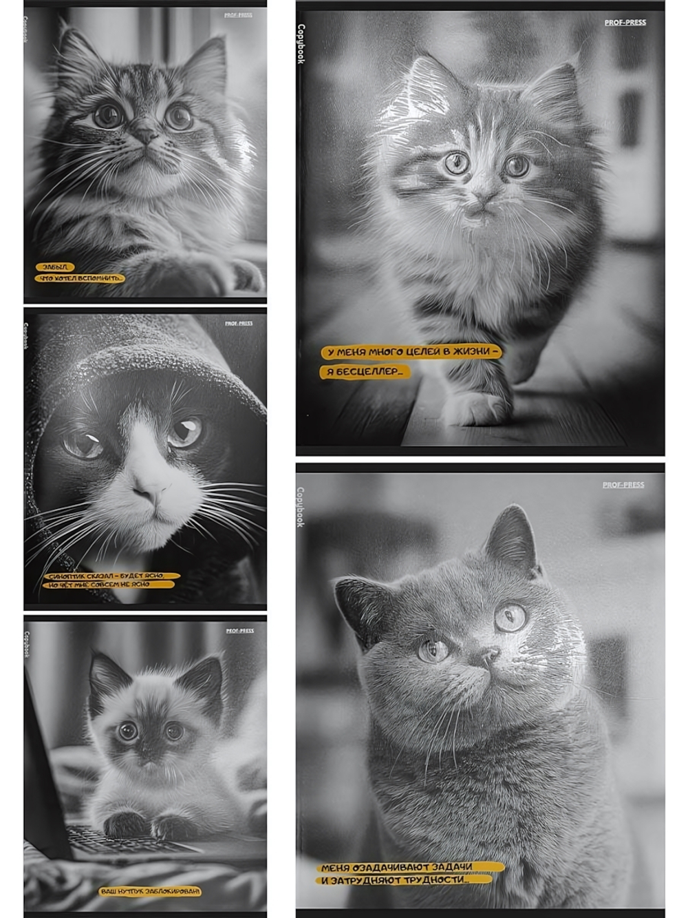 Тетрадь А5 48л. клетка "Забавные коты-5" 5 дизайнов (Проф-Пресс)