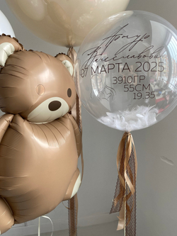 Воздушные шары на выписку " Мы тебя ждали " №2947