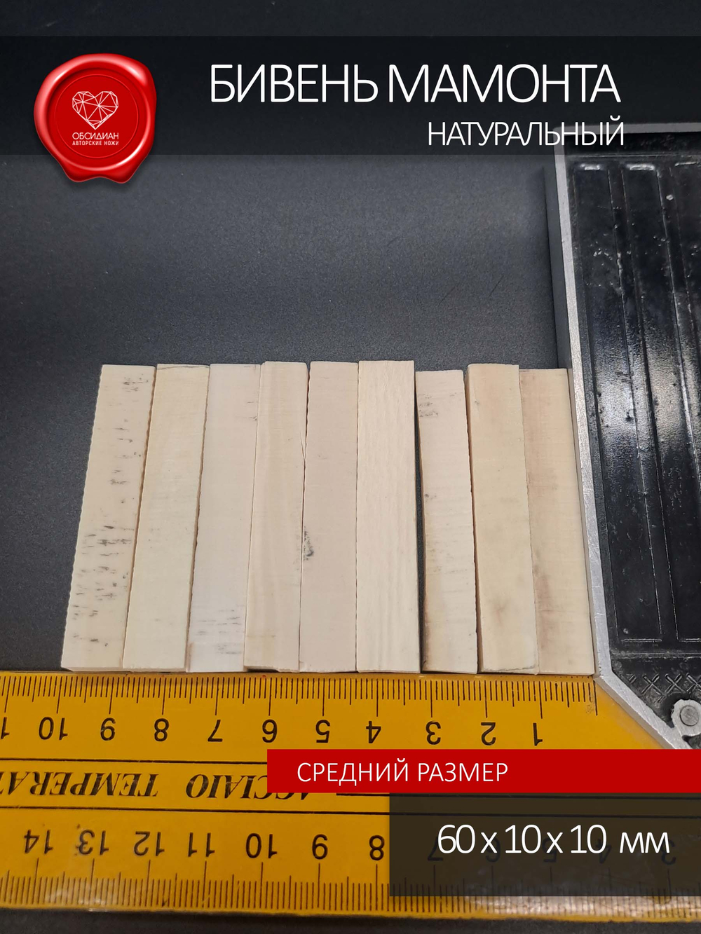 Бивень мамонта Премиальный белый