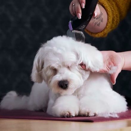 Для стрижки животных