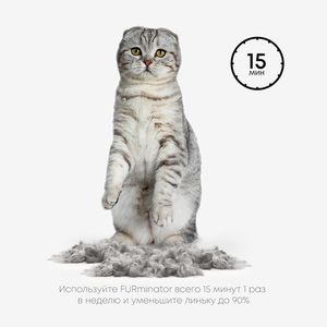 Фурминатор для кошек больших короткошерстных пород, FURminator Cat Undercoat M/L Short Hair 12 YA