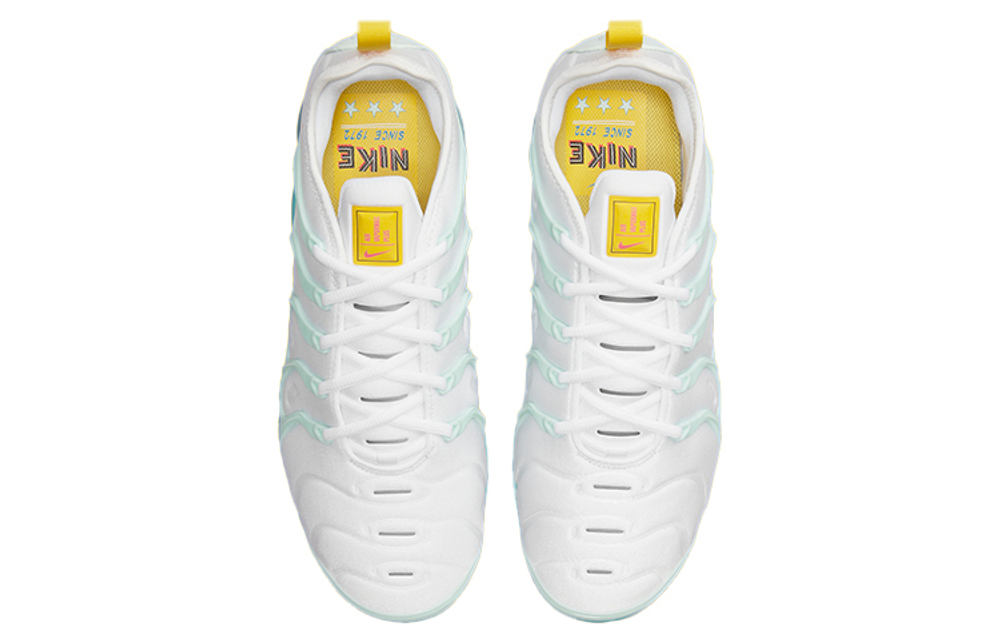 Кроссовки Nike Vapormax Plus Since 1972, DQ7645-100