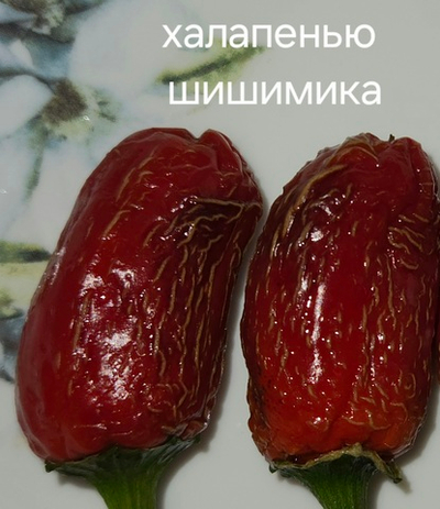 Халапенью Шишимика