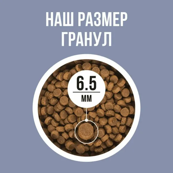 Сухой корм BOWL WOW для котят с курицей и черникой