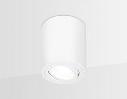 Ambrella Накладной поворотный точечный светильник Cup TN225