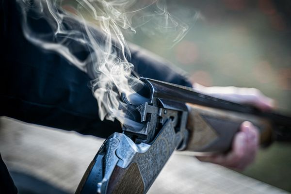 Калибры нарезного охотничьего оружия: полное руководство по выбору
