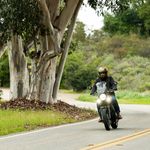 Gringo S / Золотой