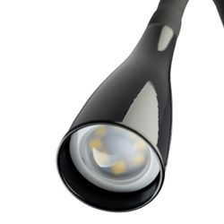 Citilux Рио CL704381N LED Светильник гибкий с USB Чёрный