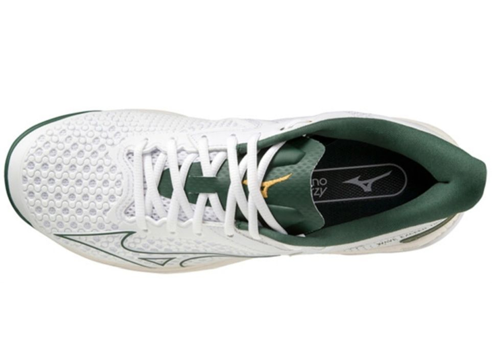 Мужские кроссовки теннисные Mizuno Wave Exceed Tour 5 AC - белый