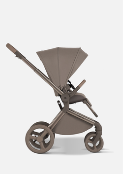 Anex Детская коляска Flo 2 в 1 Yuki