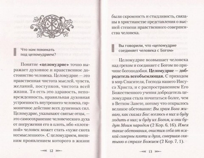 Великая добродетель. О целомудрии в вопросах и ответах. Архимандрит Наум (Байбородин)