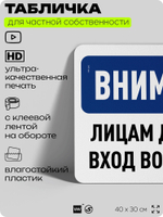Табличка для частной территории "Внимание, лицам до 18 лет вход воспрещен", на дом, для участка, организаций и частных территорий, предупреждающая, 40х30 см, Silver Plane x Айдентика Технолоджи