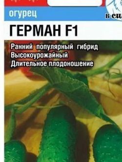 Огурец в ассортименте 70=