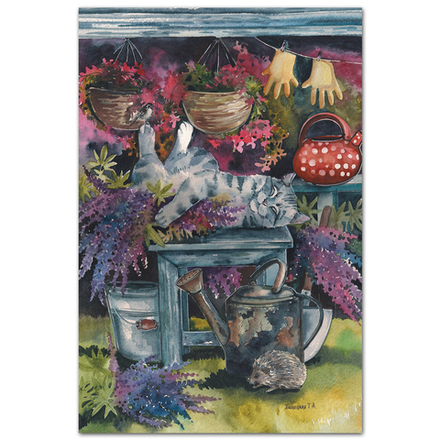 Люпиновый сон кота