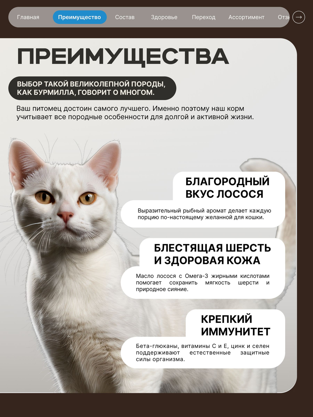 Корм сухой для взрослых кошек породы Бурмилла, с лососем, 400 гр, QUATTRO