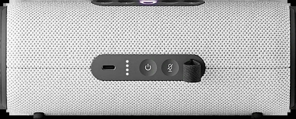 Умная колонка Яндекс Станция Стрит, Серый (YNDX-00030GRY)