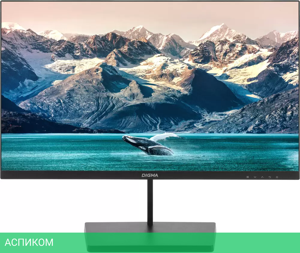 Монитор Digma Progress 24P501F