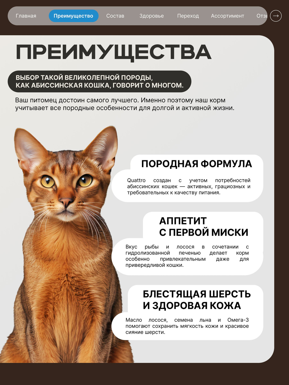 Корм сухой для взрослых кошек породы Абиссинская кошка, с лососем, 2 кг, QUATTRO