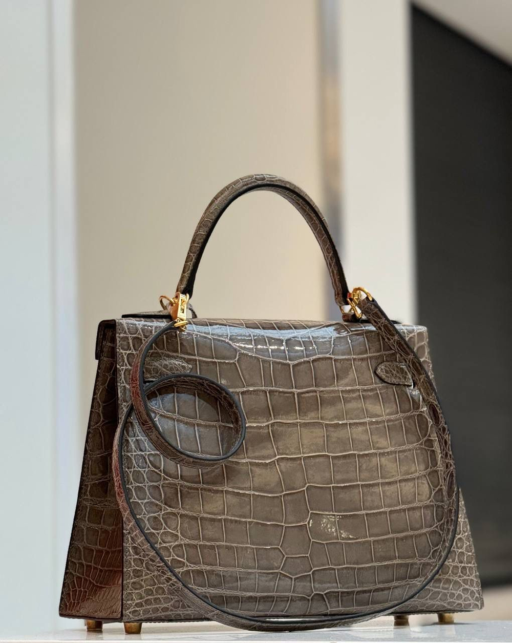 Сумка Hermes из кожи крокодила