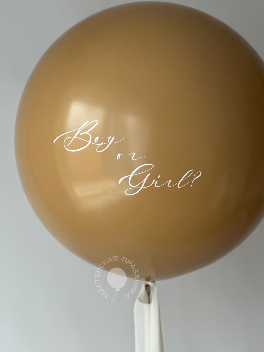 Воздушные шары на определение пола №8800  Изображение5