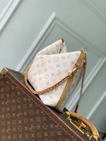 Louis Vuitton Multipass