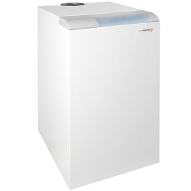 Котел газовый напольный Protherm Медведь 20 PLO