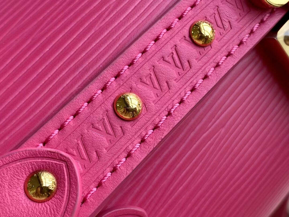 Louis Vuitton Papillon Trunk