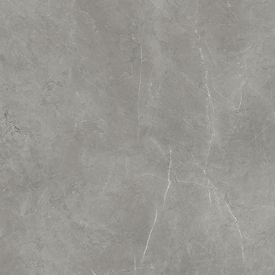 Керамогранит Forte Dei Marmi Elegant Grey Polished 80x80