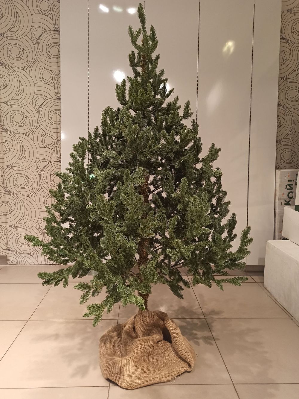 Искусственная ель на ножке «Датская» (хвоя Литая) 210 см / 2.1 м