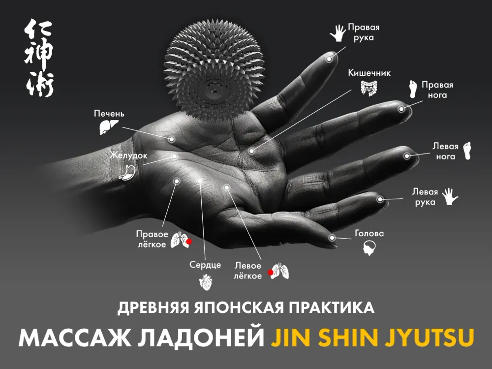 Массажное кресло FUJIMO 氣 FLEXOR 4D Brown