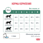 Royal Canin Diabetic DS 46 Feline Корм сухой диетический для взрослых кошек при сахарном диабете 350 г