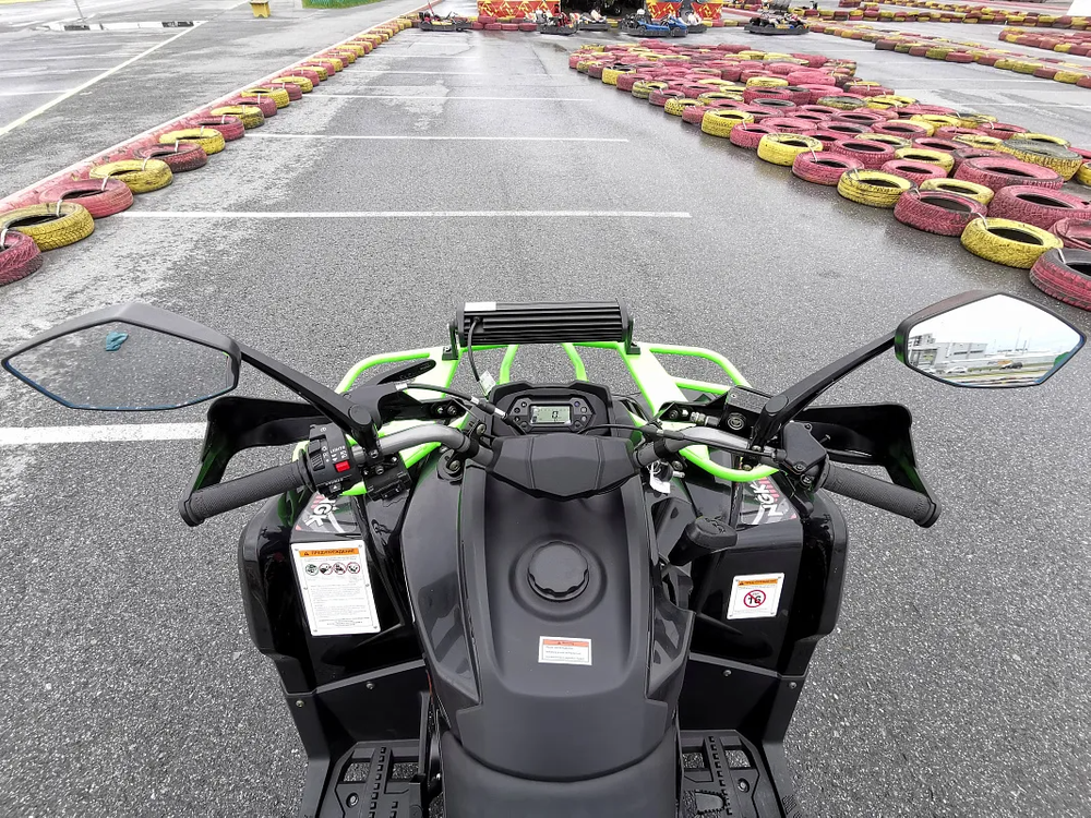 Квадроцикл PROMAX RENEGADE 280 WINCH PRO (2025)