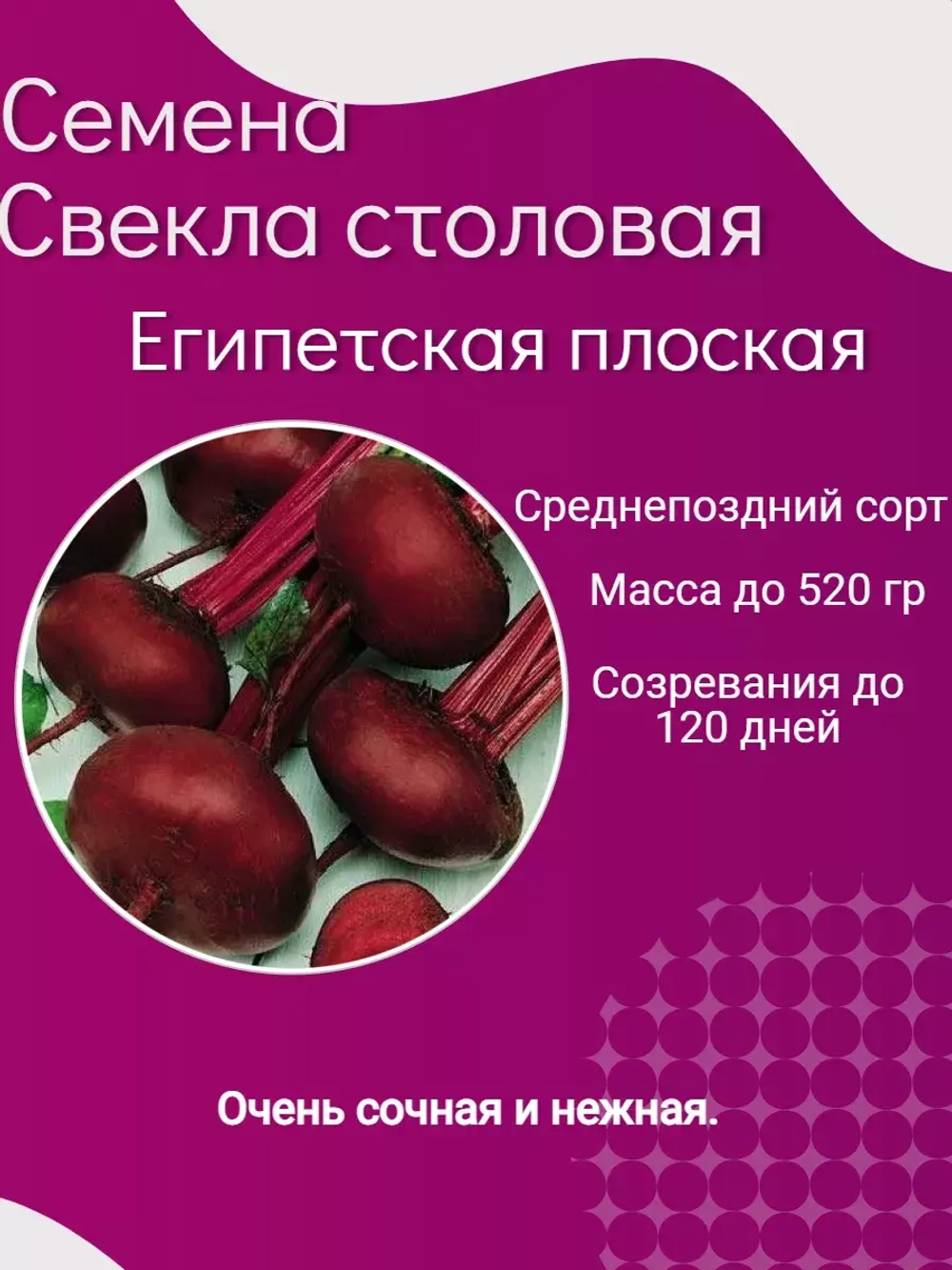 Семена Свекла столовая