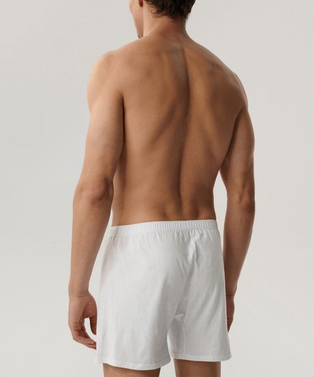 Трусы (2 шт) мужские семейные Atlantic 2BMB-003, белые