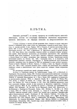 Курс анатомии растений | И. П. Бородин