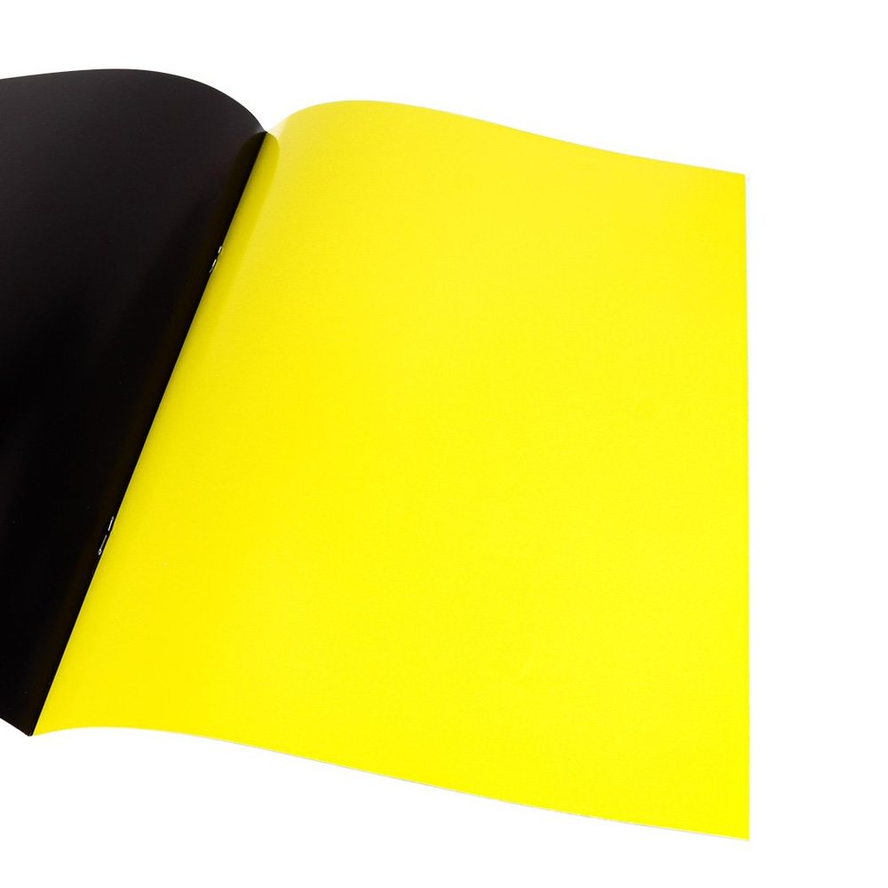 Бумага цветная Проф-Пресс, 193х280 мм, односторонняя, мелованная, 8 листов, 8 цветов, скрепка, "Смешная акула"