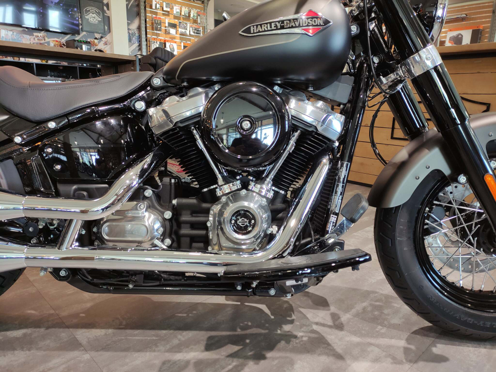 Softail Slim 2021 Harley-Davidson River Rock Gray Denim / Black Denim