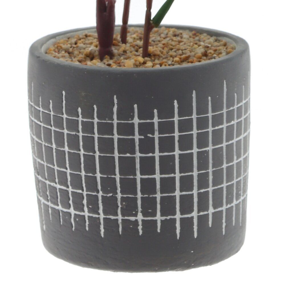 GAEM Цветочная композиция "Папоротник", L11 W11 H59 см