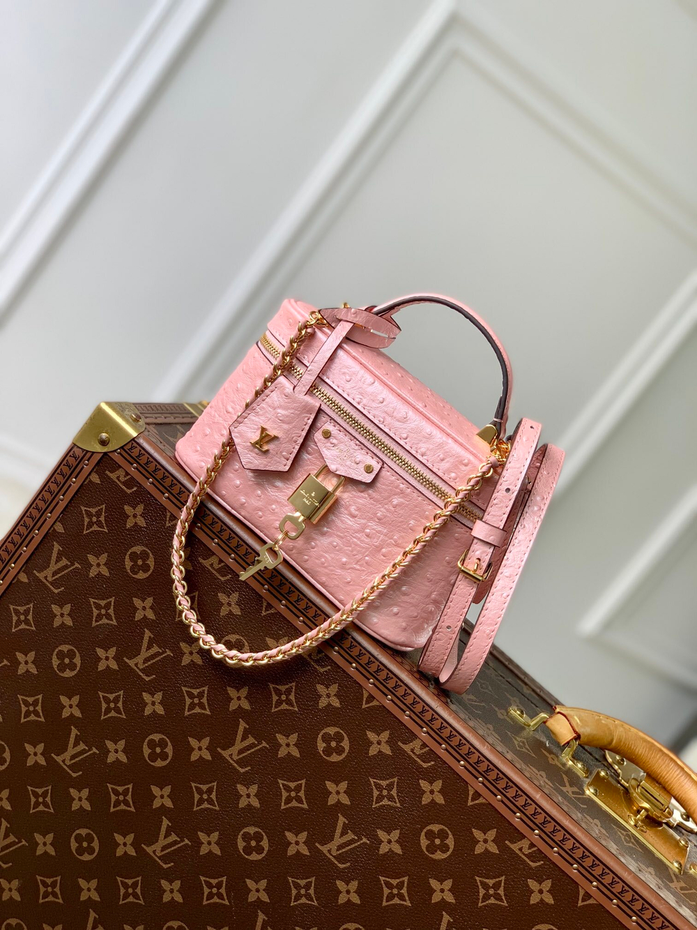 Louis Vuitton Vanity Chain Pouch
