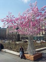 световое дерево "Сакура"